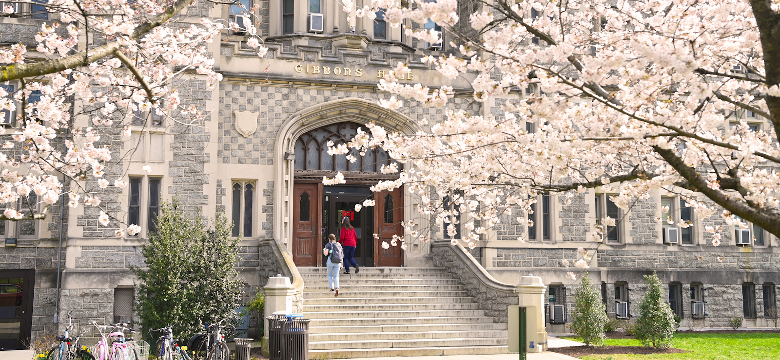 cherry blossoms framing gibbons hall on campus
